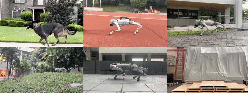 APEX_front_video_gif.gif